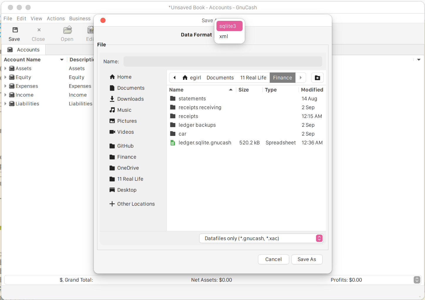 Choosing File Type for GNUCash